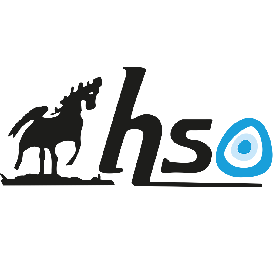 H.S.O. AYAKKABI  MALZEMELERİ PAZARLAMA SAN. TİC. LTD. ŞTİ.