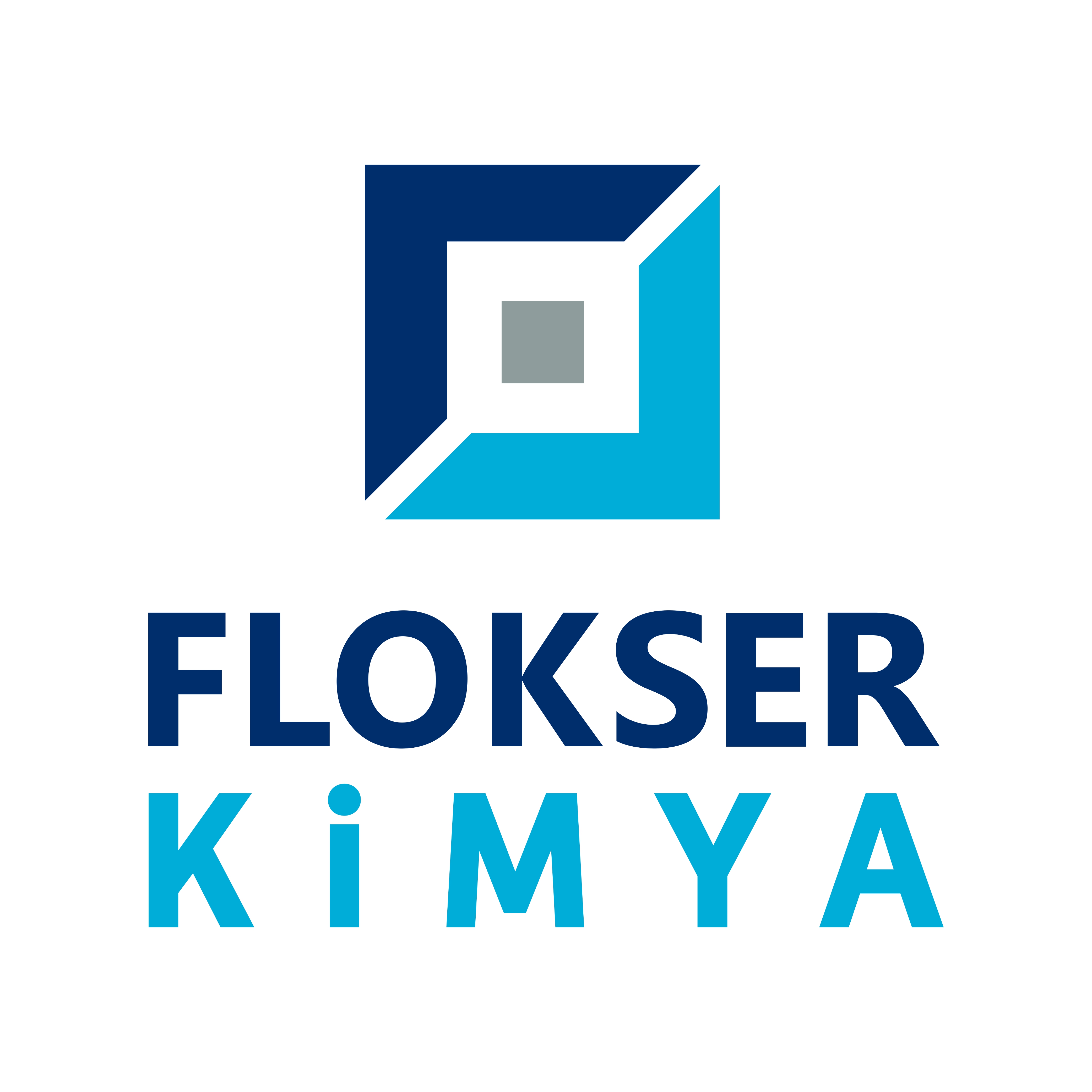 FLOKSER KİMYA SAN. VE TİC. A.Ş.