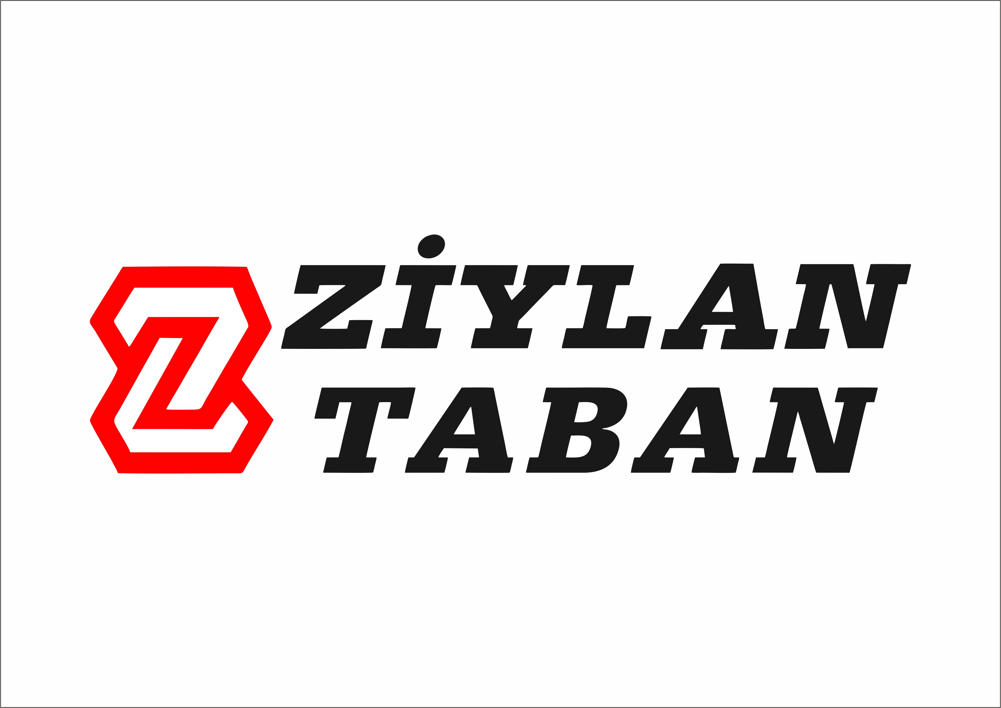 ZİYLAN TABAN A.Ş.